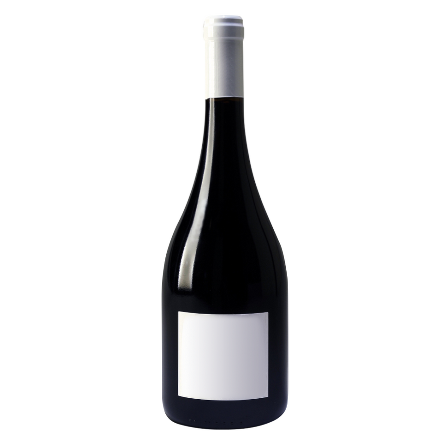 Chartron et Trebuchet Bourgogne Pinot Noir 2021